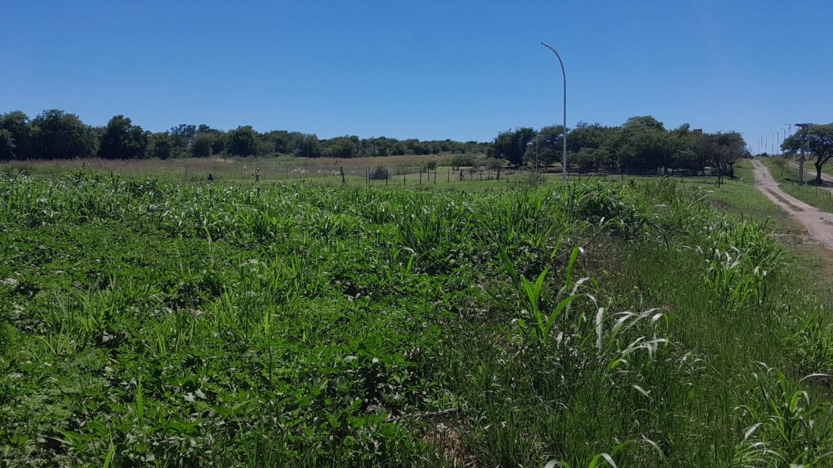 AIRES DEL NORDESTE - UNQUILLO - OPORTUNIDAD !! 