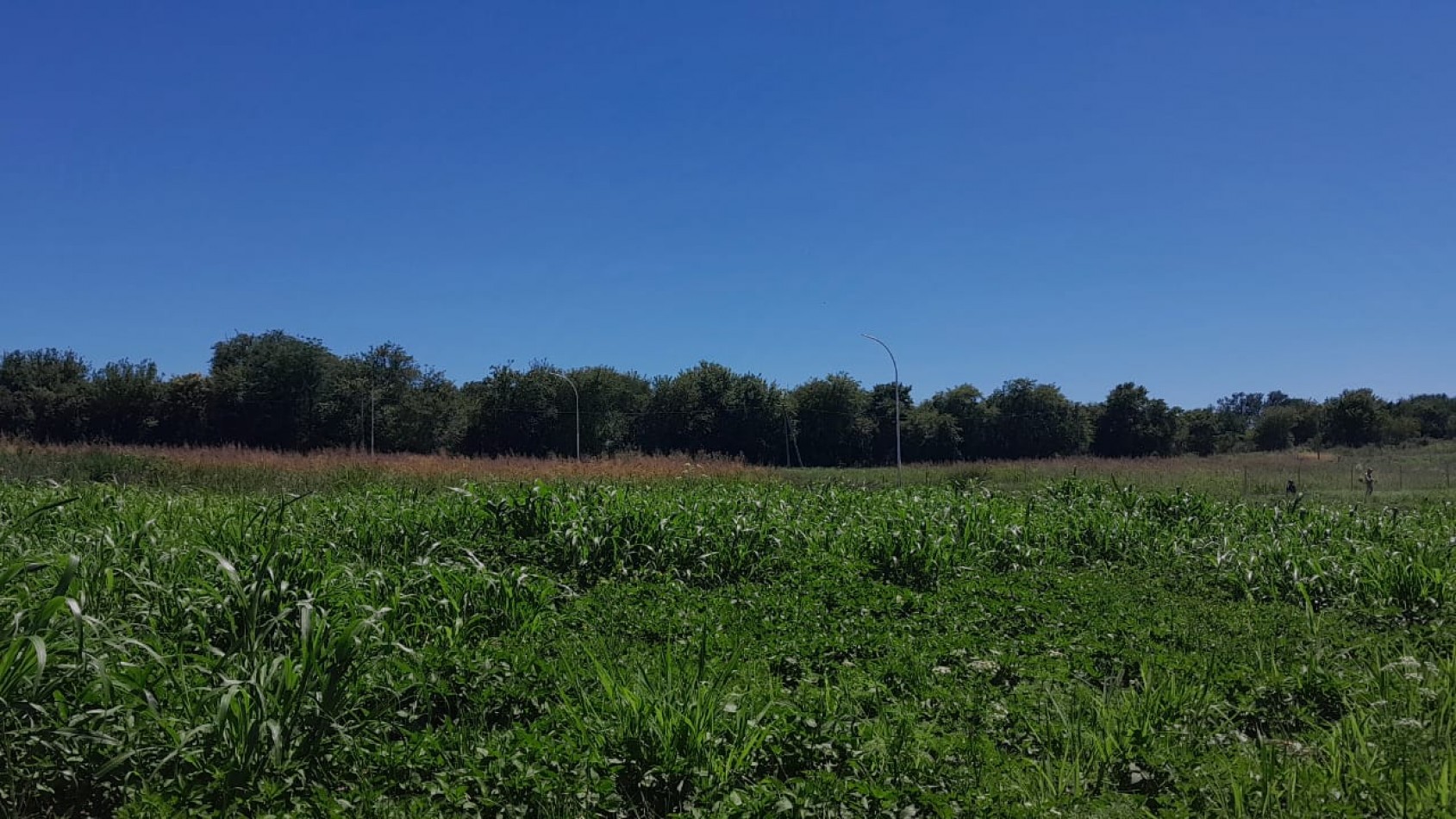 AIRES DEL NORDESTE - UNQUILLO - OPORTUNIDAD !! 