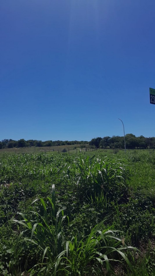 AIRES DEL NORDESTE - UNQUILLO - OPORTUNIDAD !! 