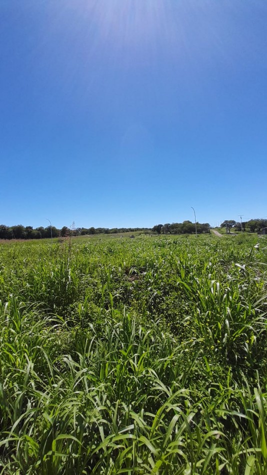 AIRES DEL NORDESTE - UNQUILLO - OPORTUNIDAD !! 