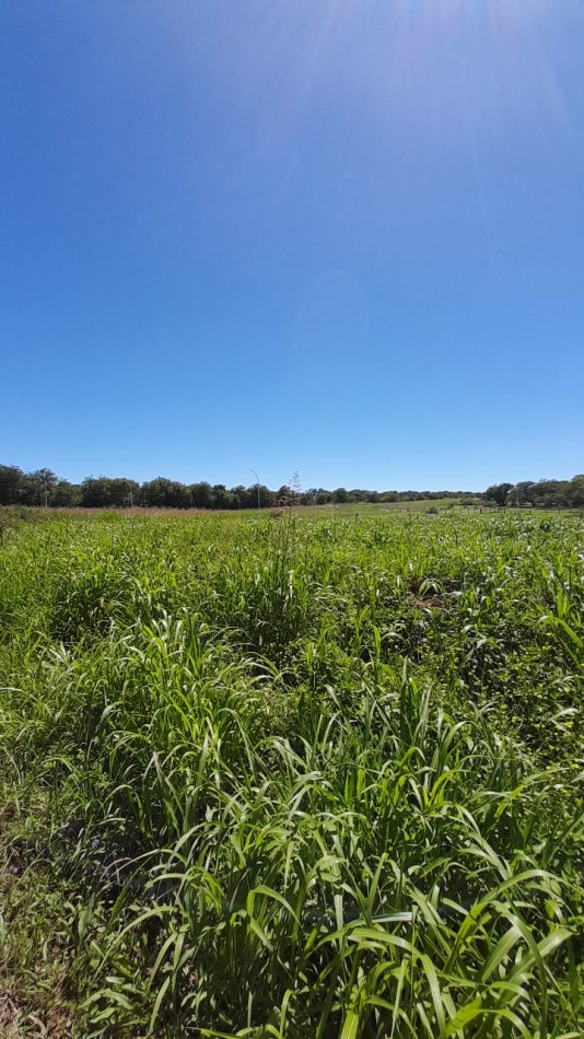 AIRES DEL NORDESTE - UNQUILLO - OPORTUNIDAD !! 