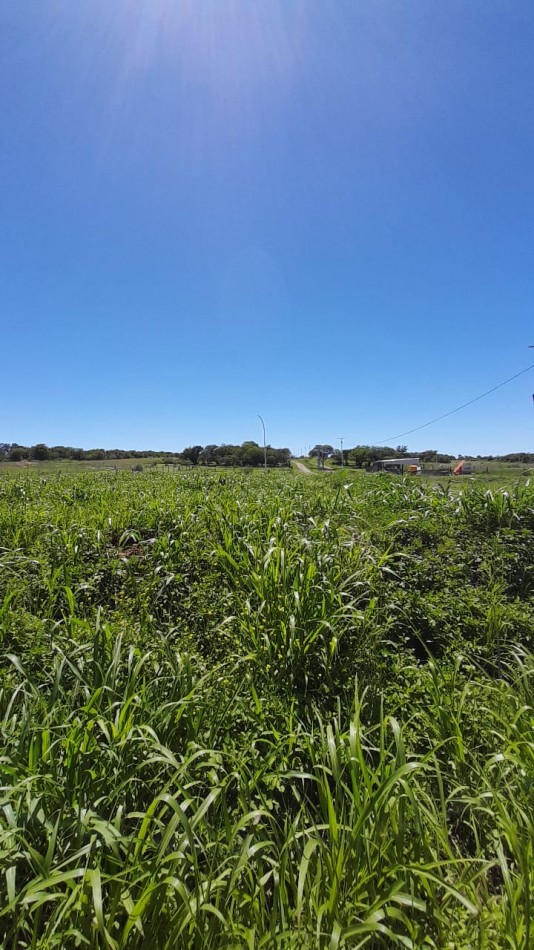 AIRES DEL NORDESTE - UNQUILLO - OPORTUNIDAD !! 