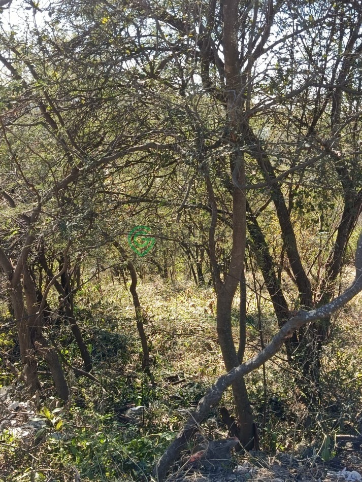 MENDIOLAZA, VALLE DEL SOL, HERMOSO TERRENO