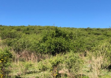 CAMPO EN SIERRAS CHICAS - 6 HECTAREAS A 20 minutos del AEROPUERTO !!!! BAJAMOS LOS PRECIOS !!!! DOS FRACCIONES EN EL PUEBLITO - SALSIPUEDES - 