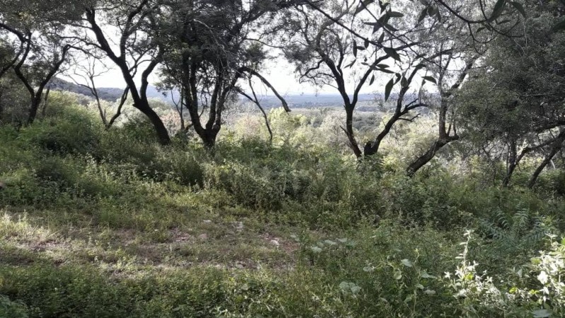 QUERES VIVIR EN UN LUGAR INCREIBLE ? 