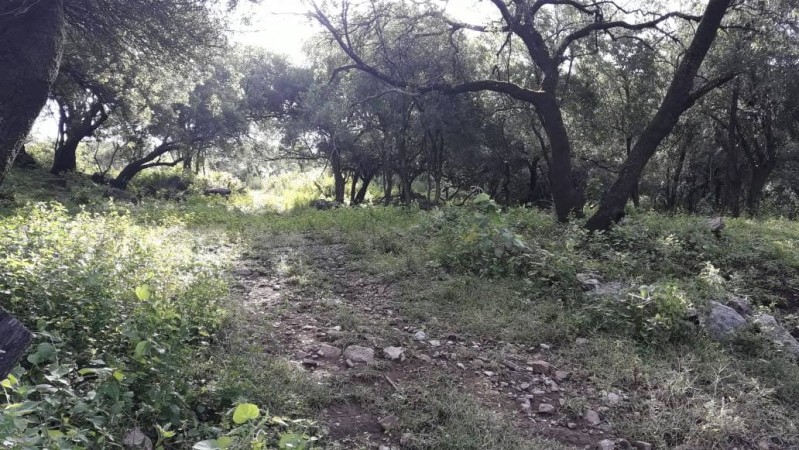 QUERES VIVIR EN UN LUGAR INCREIBLE ? 