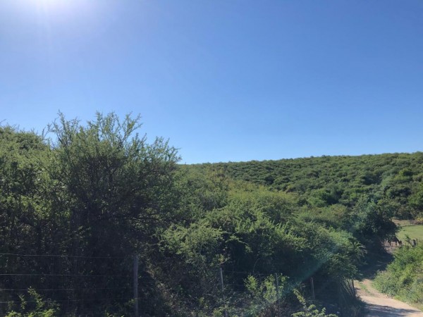 CAMPO EN SIERRAS CHICAS - 6 HECTAREAS A 20 minutos del AEROPUERTO !!!! BAJAMOS LOS PRECIOS !!!! DOS FRACCIONES EN EL PUEBLITO - SALSIPUEDES - 