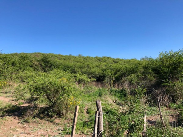 CAMPO EN SIERRAS CHICAS - 6 HECTAREAS A 20 minutos del AEROPUERTO !!!! BAJAMOS LOS PRECIOS !!!! DOS FRACCIONES EN EL PUEBLITO - SALSIPUEDES - 