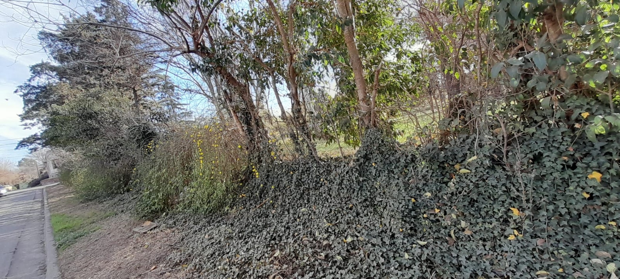  LOTE EN VILLA ALLENDE - BARRIO LA CRUZ 