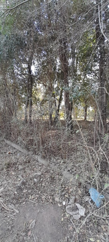  LOTE EN VILLA ALLENDE - BARRIO LA CRUZ 