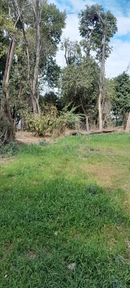 LOTE EN VILLA ALLENDE - BARRIO LA CRUZ 