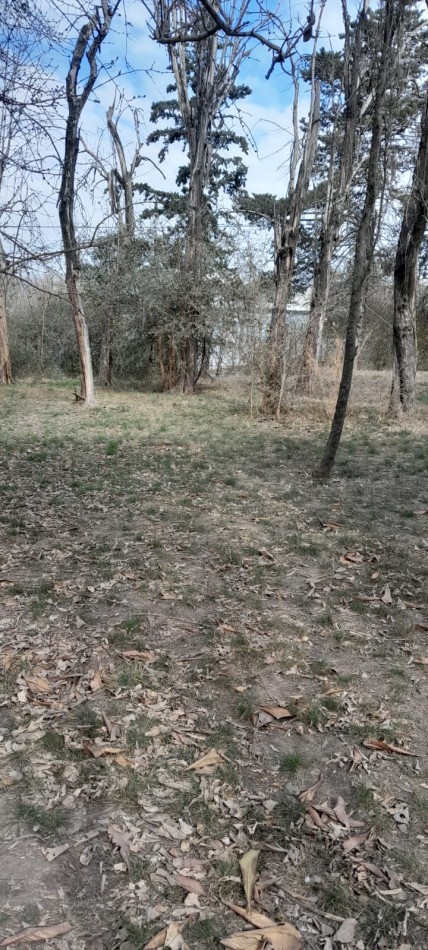  LOTE EN VILLA ALLENDE - BARRIO LA CRUZ 