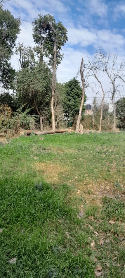  LOTE EN VILLA ALLENDE - BARRIO LA CRUZ 