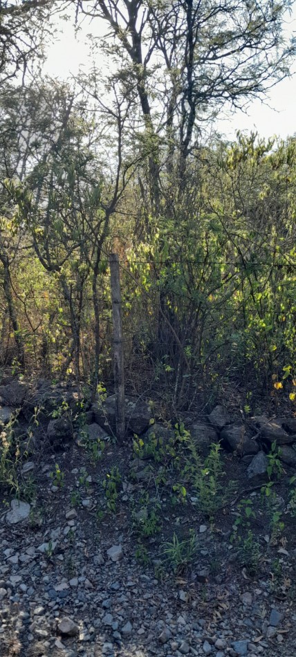  EXCELENTE LOTE DE TERRENO UNQUILLO 