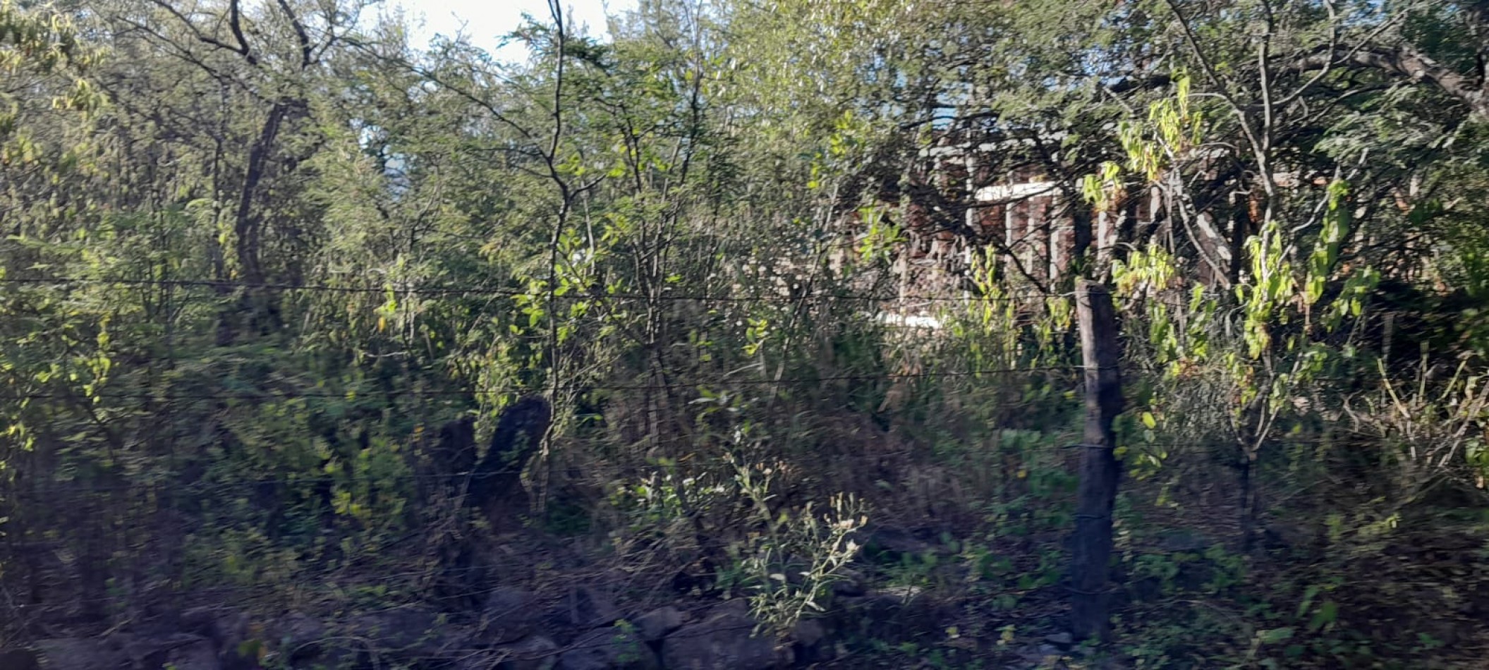  EXCELENTE LOTE DE TERRENO UNQUILLO 